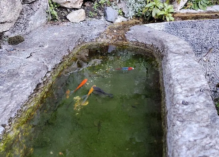 Charmante Maison A 木屋 *